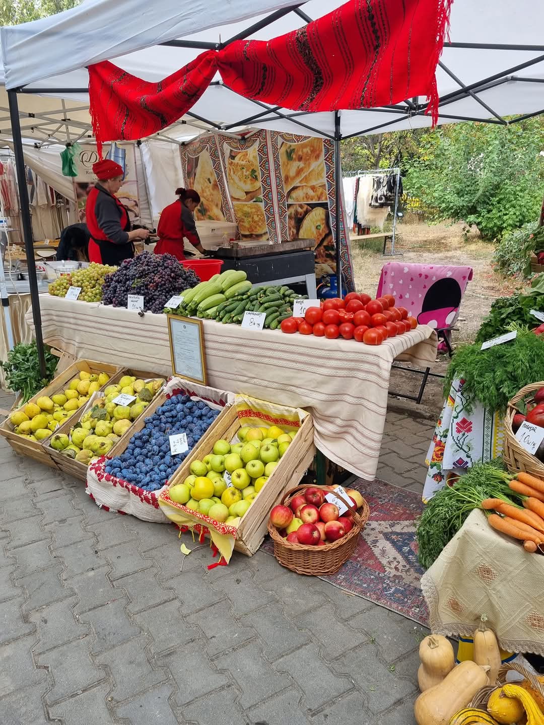 Activitate agricola Legume Ghizdaru